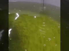 Sensor óptico disuelto óptico en línea del oxígeno del sensor Rs485 del oxígeno